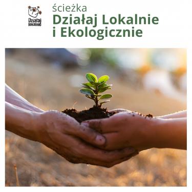 (szerokość: 375 / wysokość: 375)